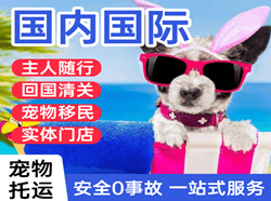 芒市机场货运国际宠物托运 【国